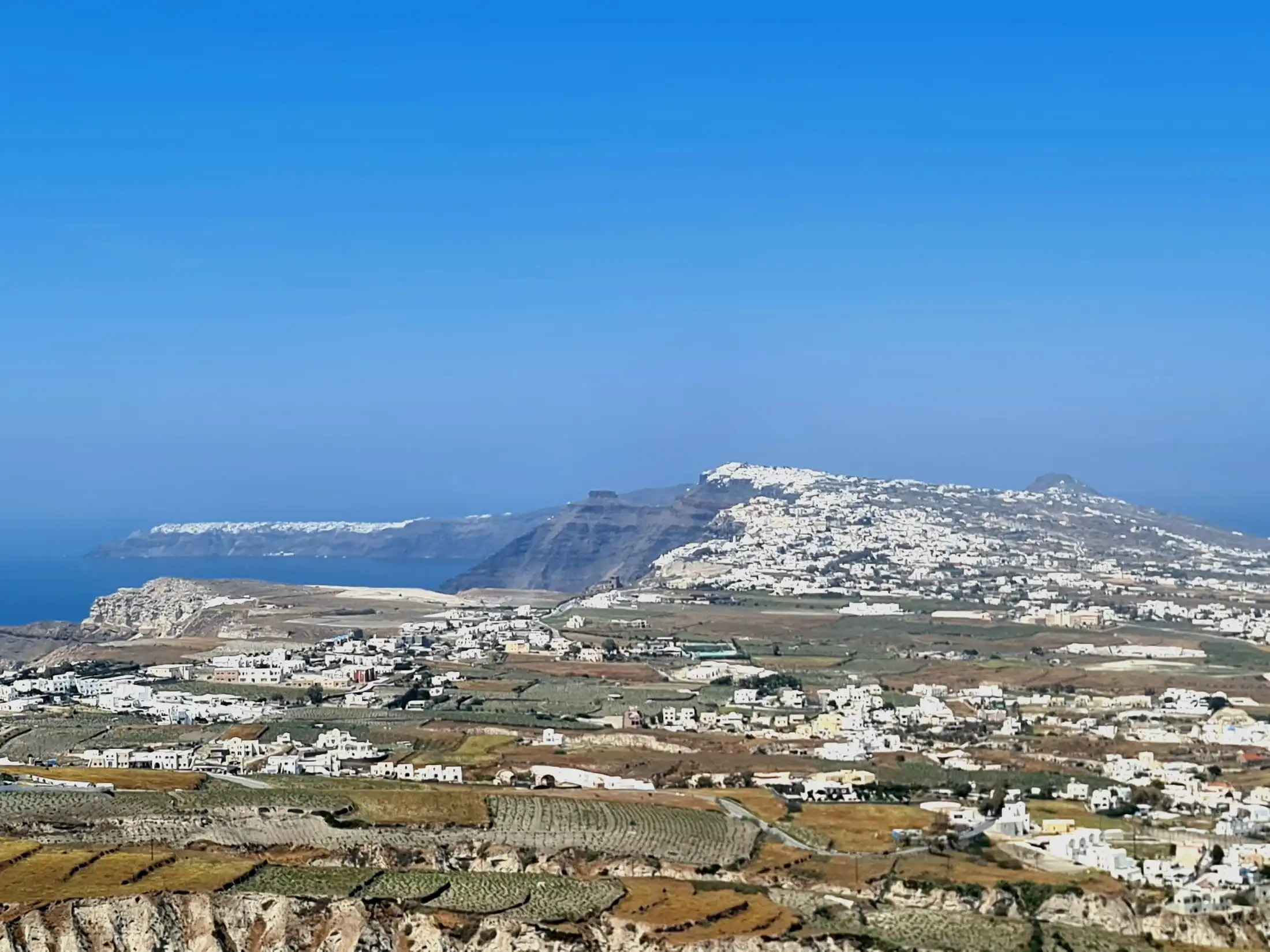 The vine country below Pyrgos village — terraced fields dropping toward Fira, the caldera rim running to Oia on the horizon