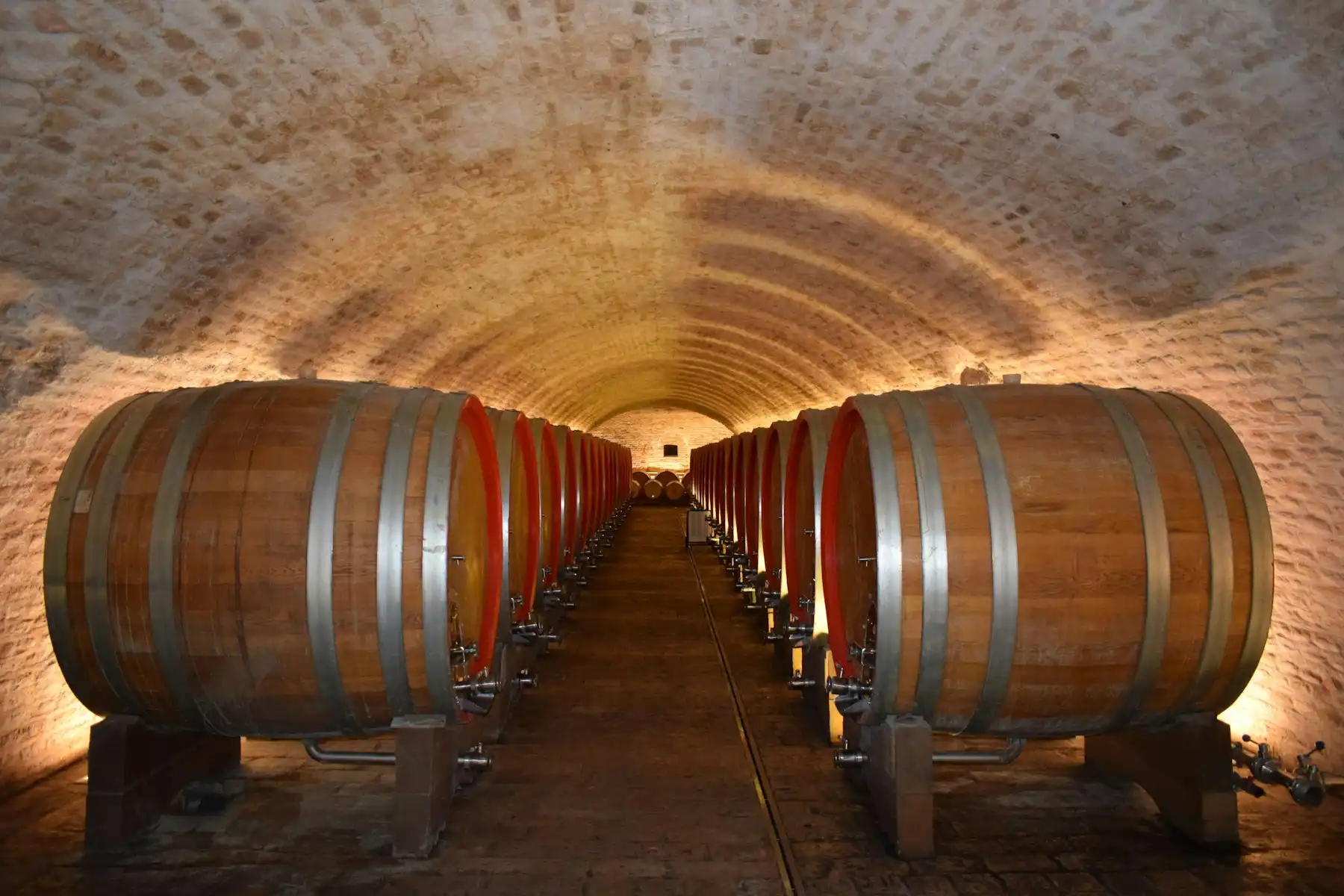 A whitewashed barrel-vaulted cave tunnel lined with rows of wine casks