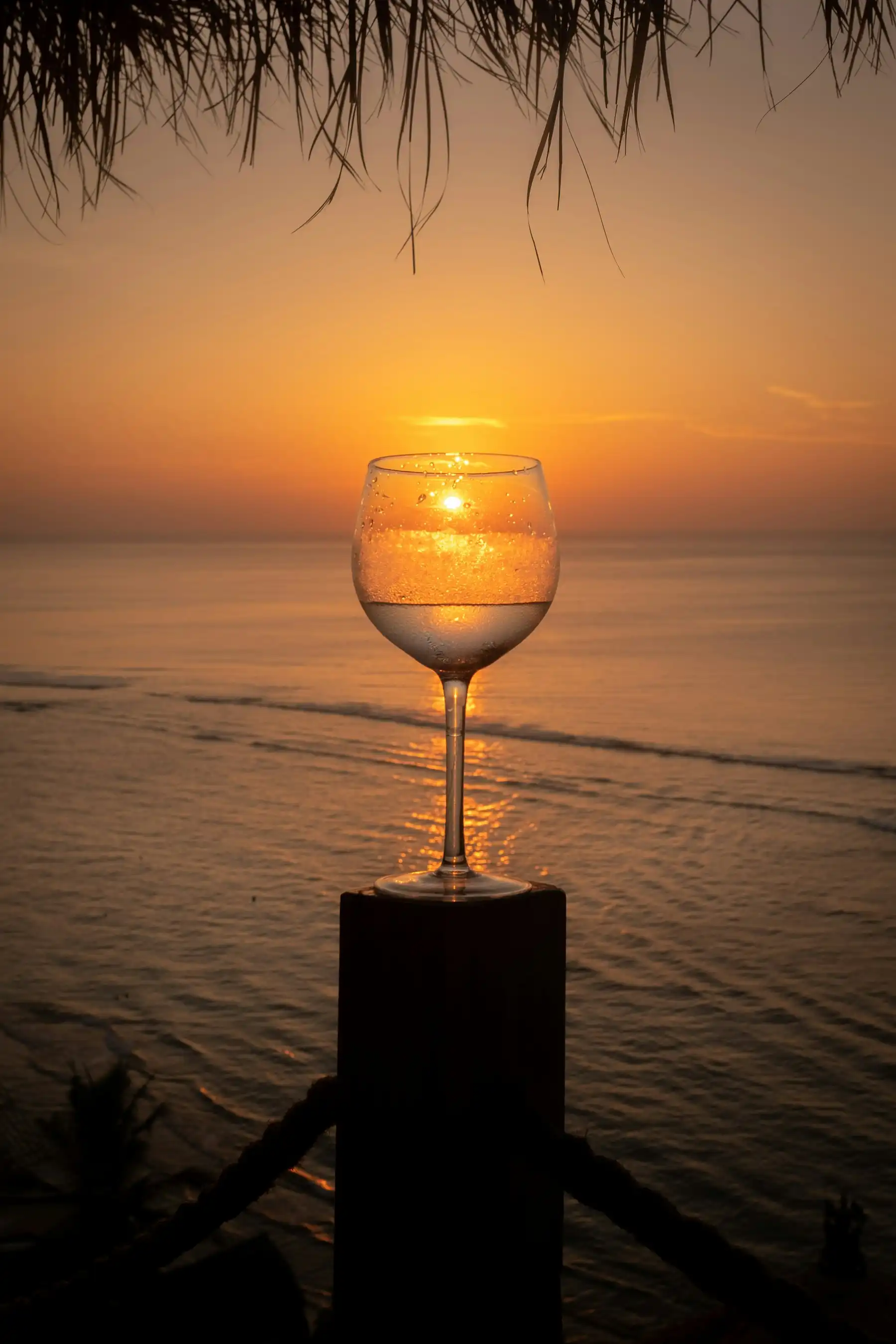 A wine glass catching the last of the sun over a darkening sea