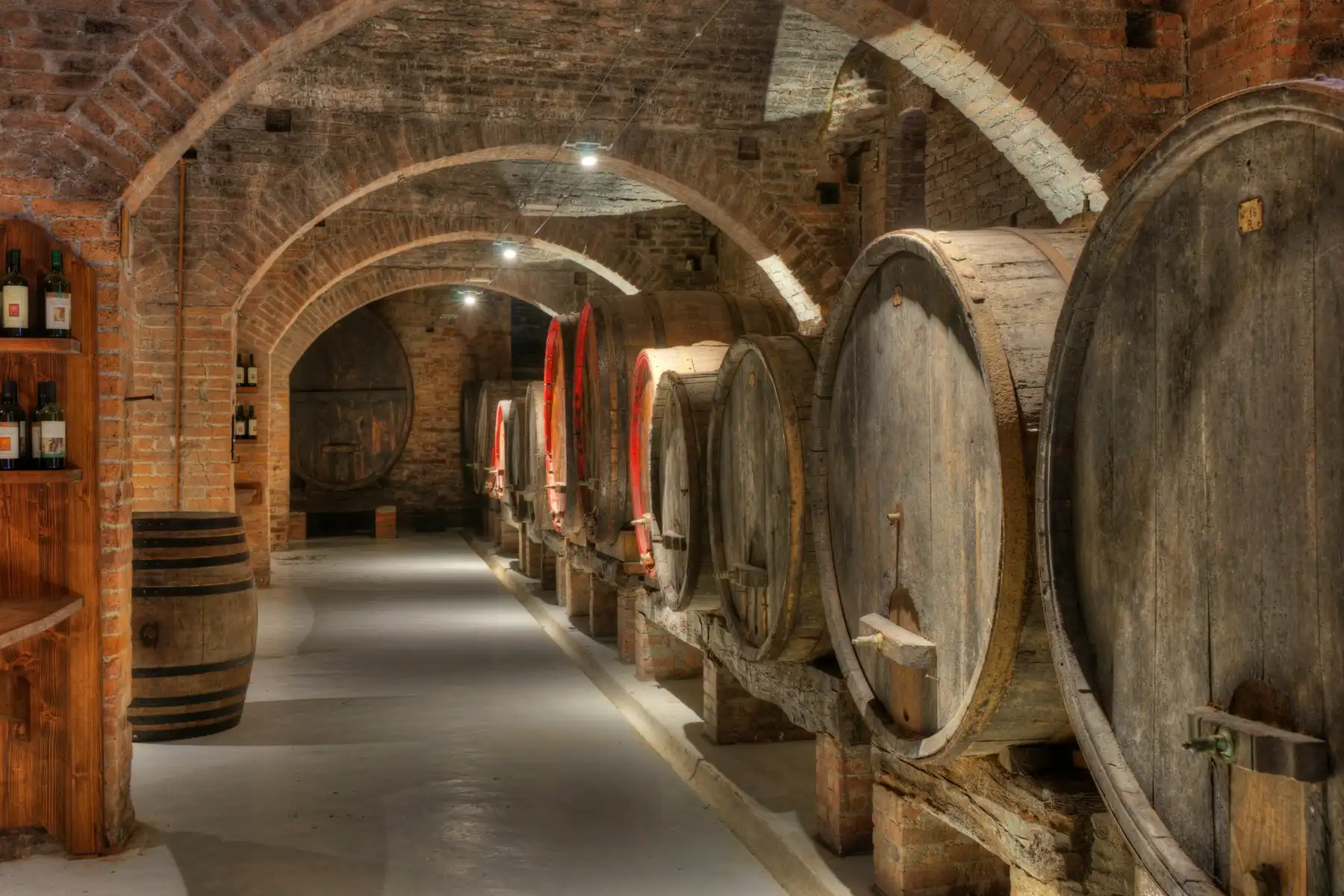 A barrel-vaulted brick cellar lined with large oak casks and racks of bottles